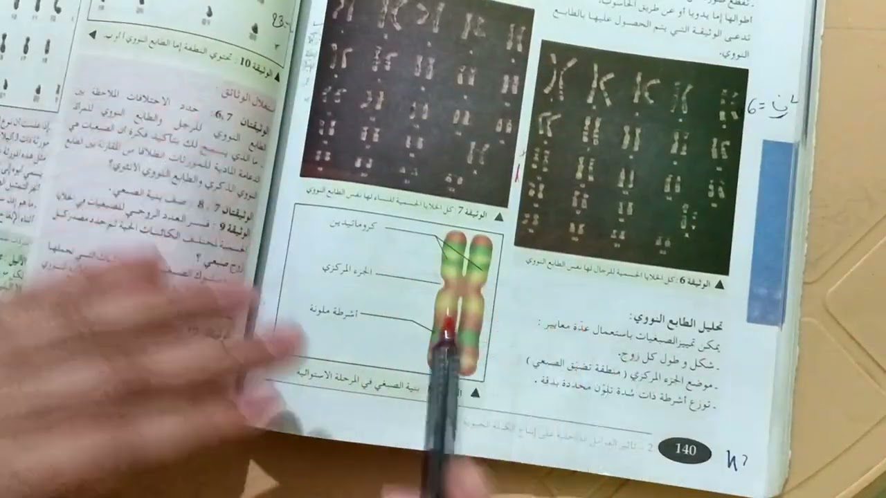أولى ثانوي:مفهوم الطابع النووي😉واش معنتها 2ن=46؟