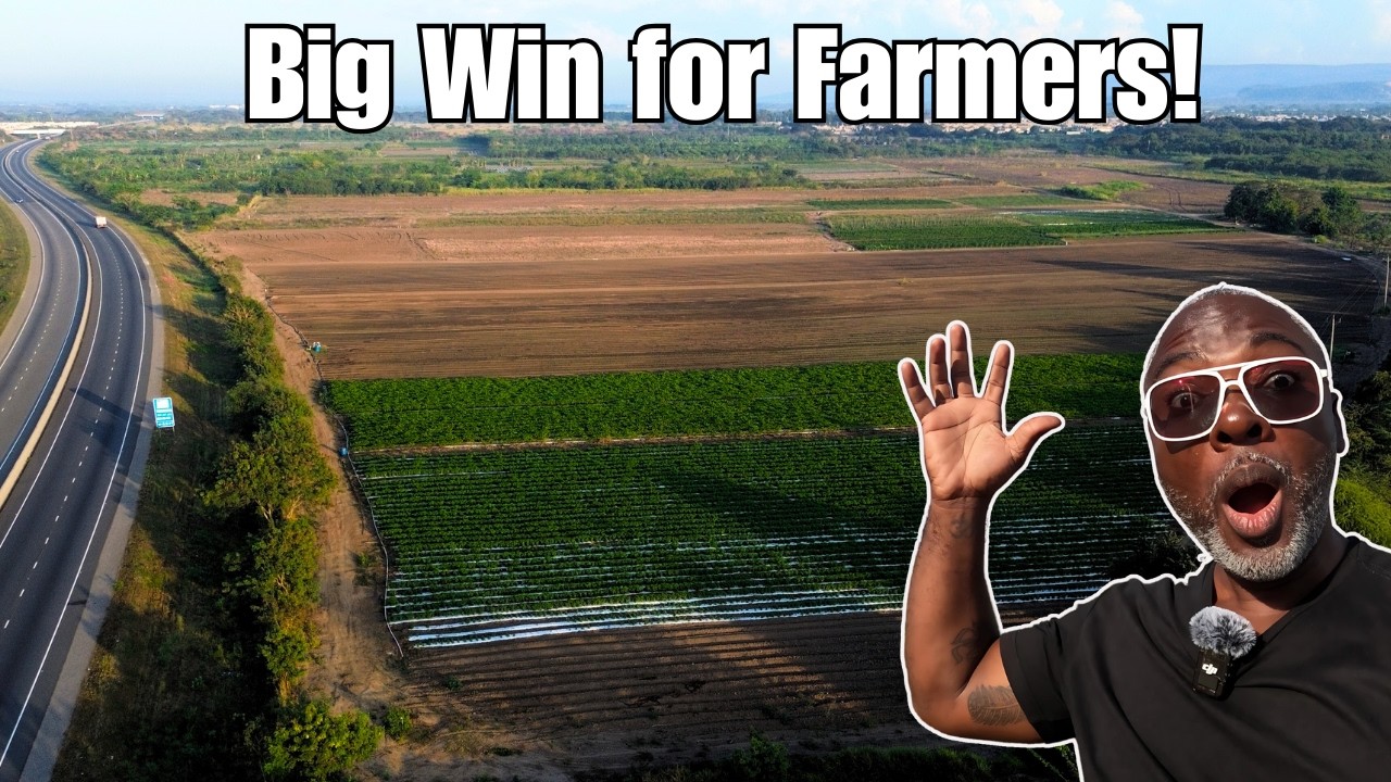 The Future of Jamaica&rsquo;s Agriculture & Housing:Bernard Lodge!