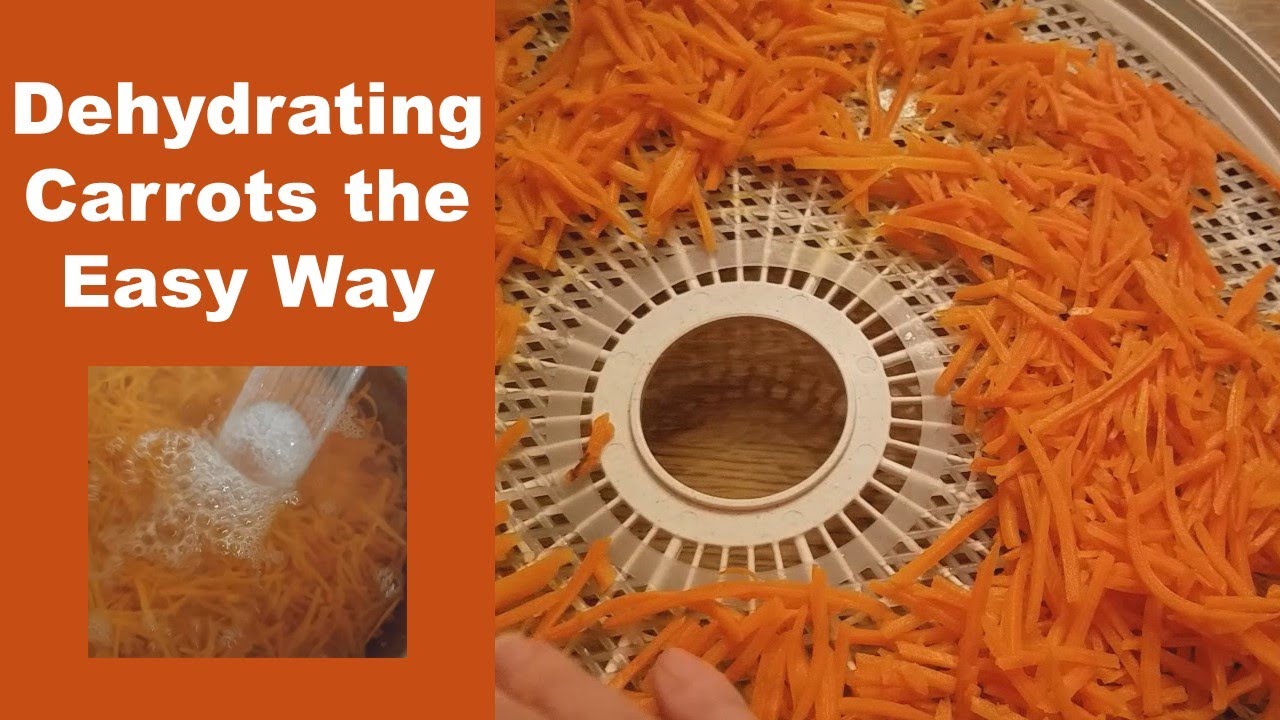 How to Dehydrate Carrots the Easy Way | Long Term Food Storage on a Budget