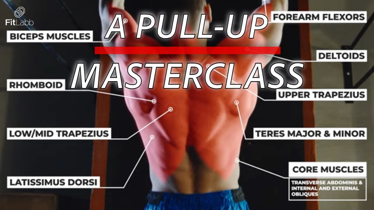 DO THIS FOR SAFE AND EFFECTIVE PULL-UP GAINS | The science behind pullups