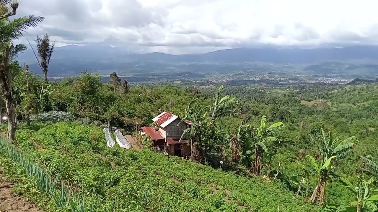 Alam dan Lingkungan, Desa Suban Ayam, Selupu Rejang, Curup, Bengkulu.