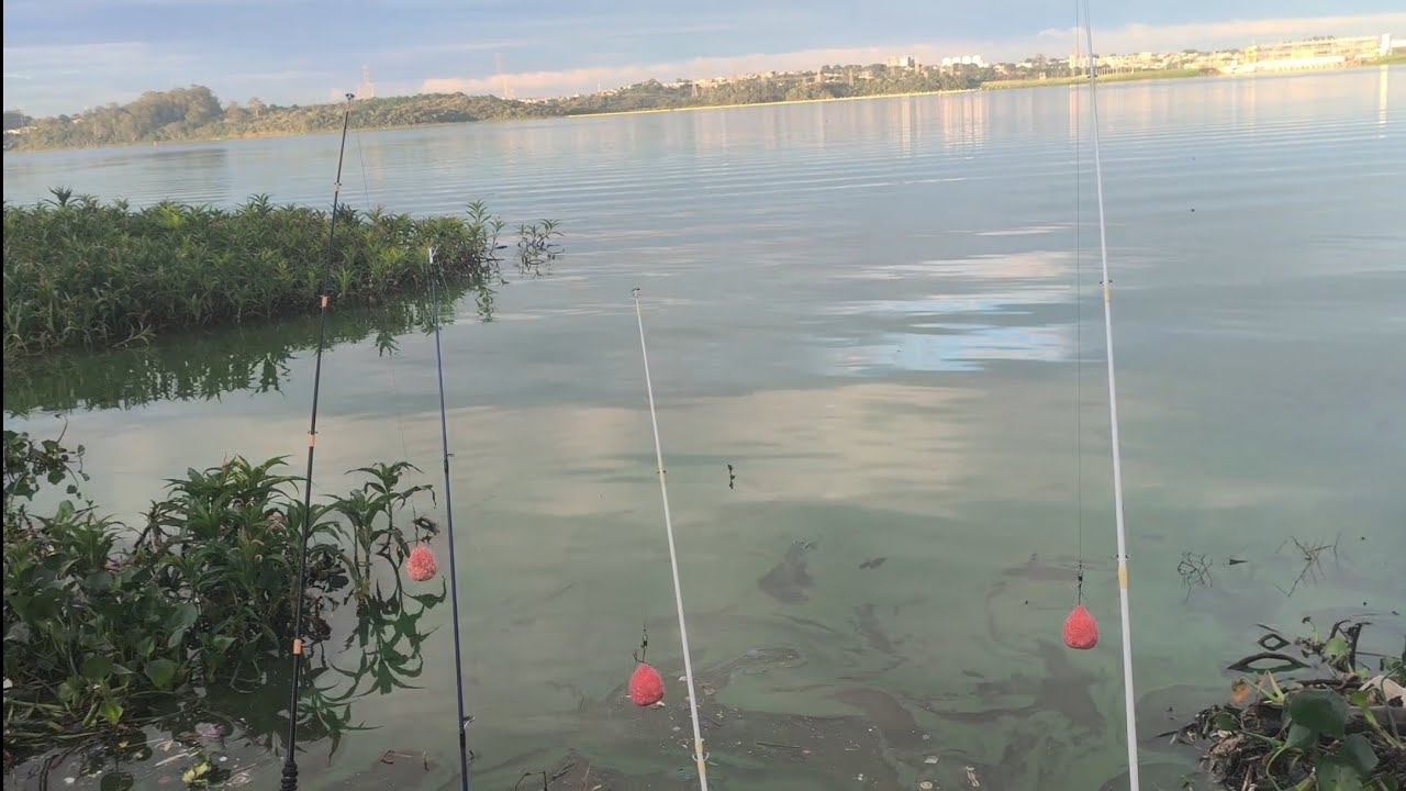 Domingo bonito na represa 