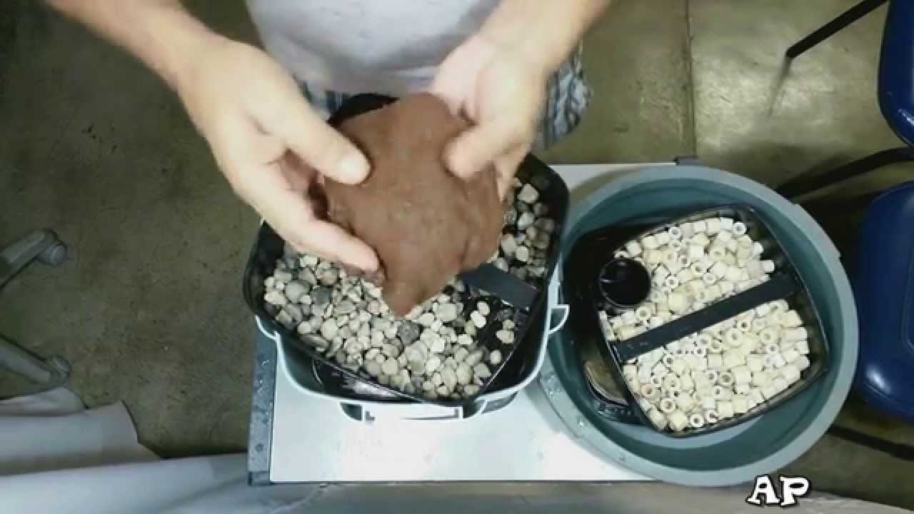 Quase Um Ano sem manutenção! Veja o resultado
