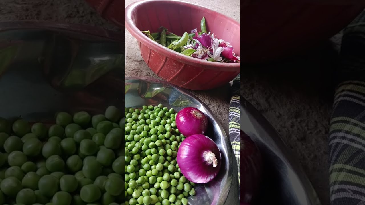 Raju Bhai (Raju sharma) is live