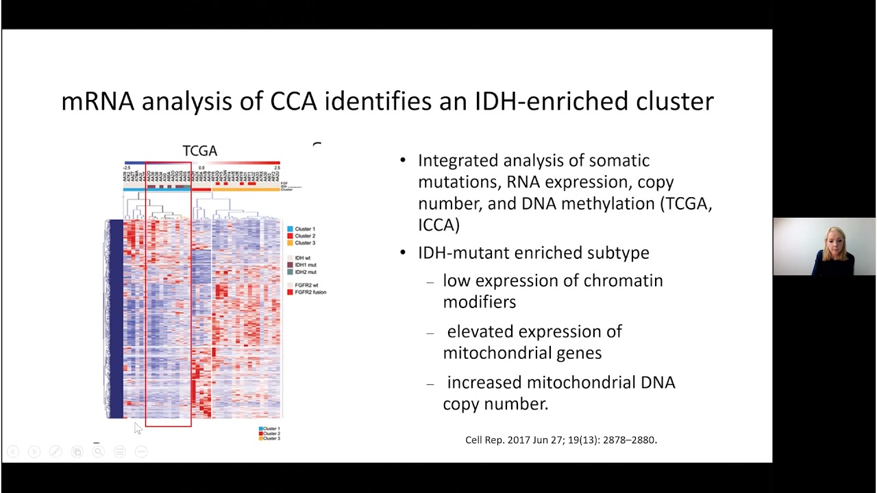 ICRN Webinar: 