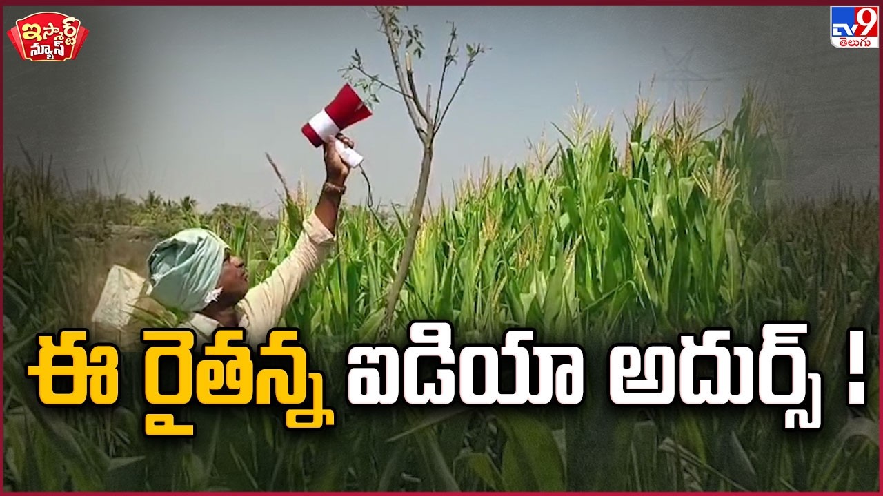 iSmart News : ఈ రైతన్న ఐడియా అదుర్స్ ! | Farmer New Idea - TV9