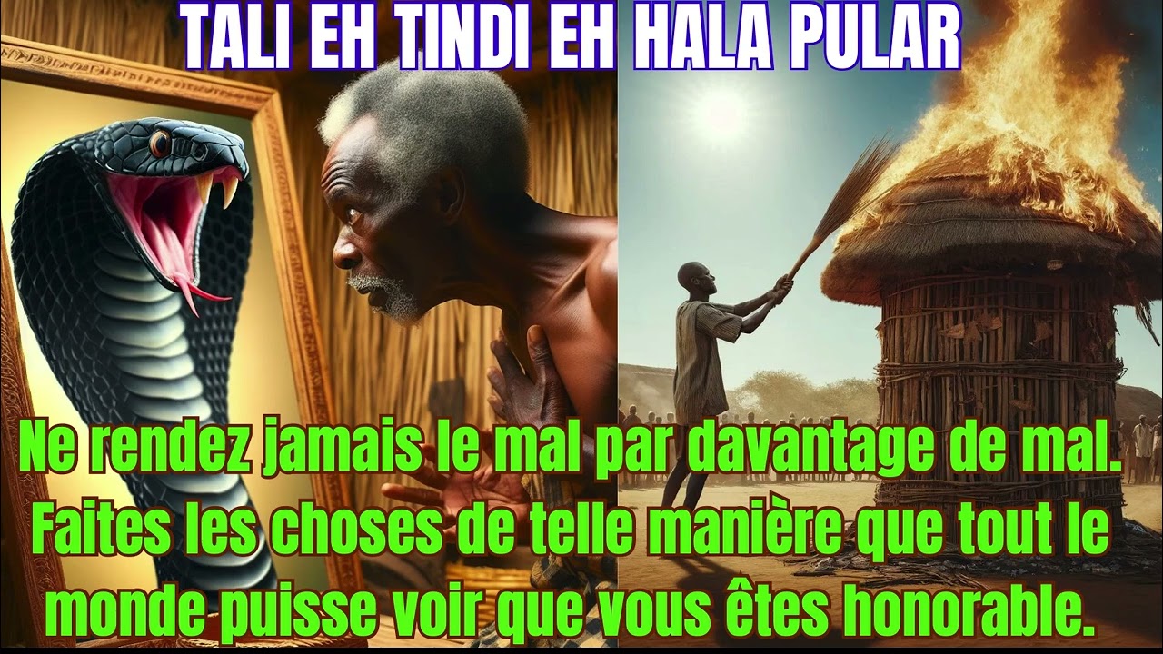 TAALI ET TINDI ET HALA PULAR. 