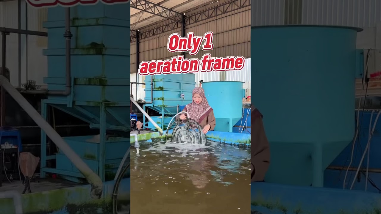 Start your indoor shrimp farming now!