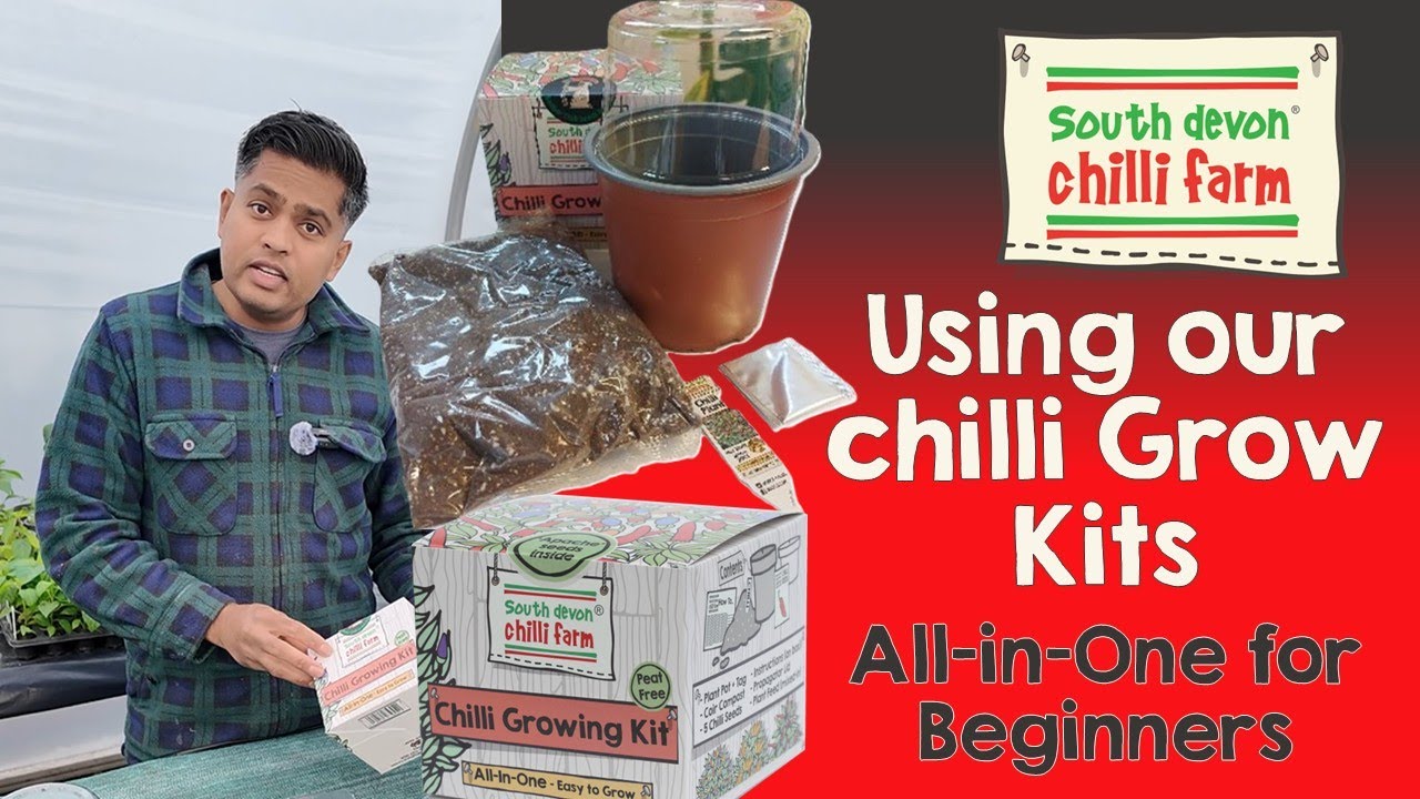 Using our Chilli Grow Kit for Beginner Growers