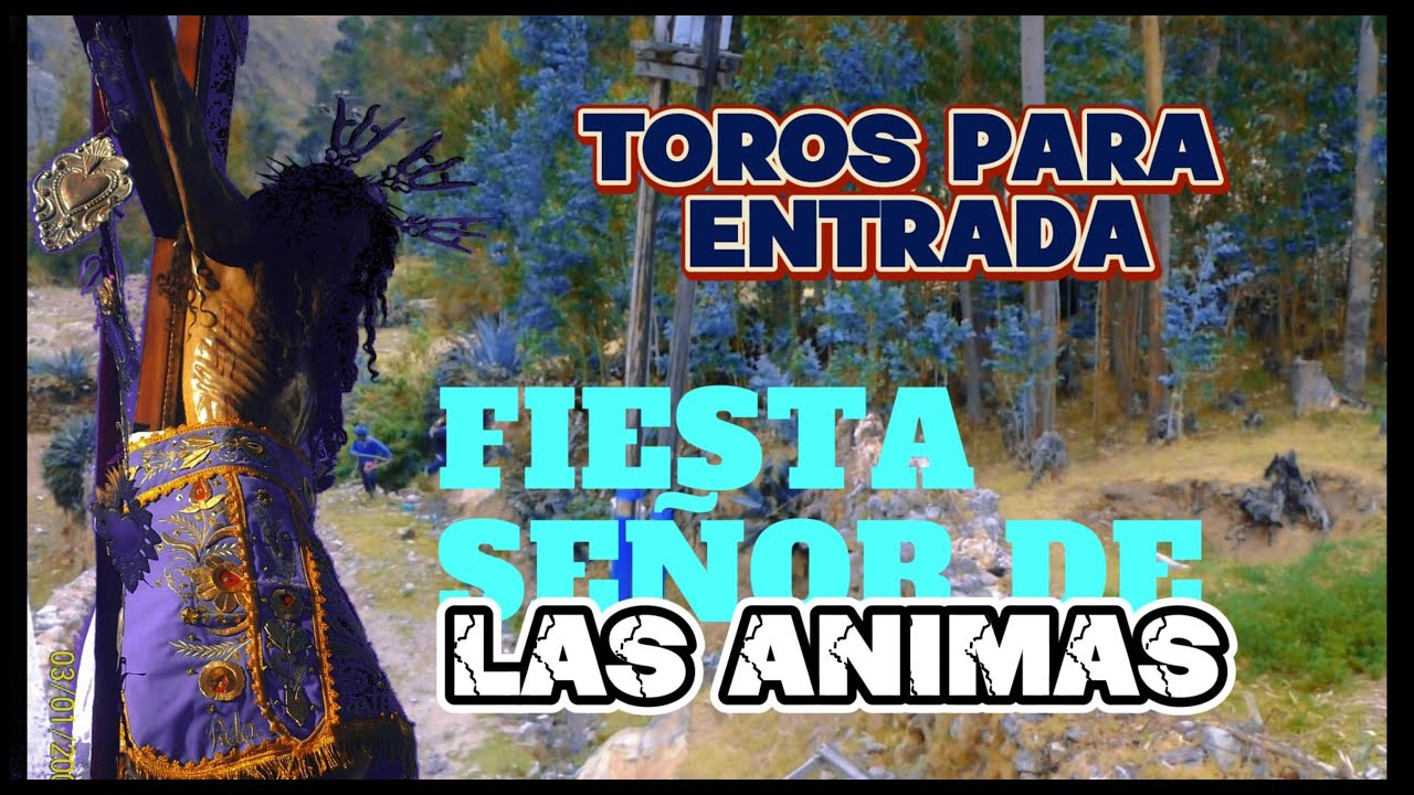 Fiesta del 𝓢𝓮𝓷̃𝓸r 𝓭𝓮 𝓵𝓪𝓼 𝓐́𝓷𝓲𝓶𝓪𝓼  - Toros para entrada, CONCHUCOS - PALLASCA - ANCASH