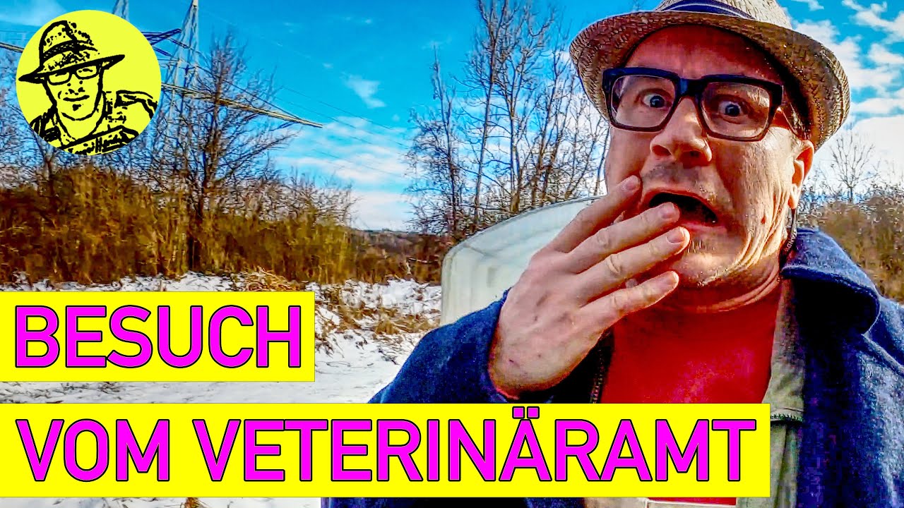 Veterinäramt beim Rigotti 😮 Vogelgrippe und Stallpflicht / Hühner ins Gewächshaus.
