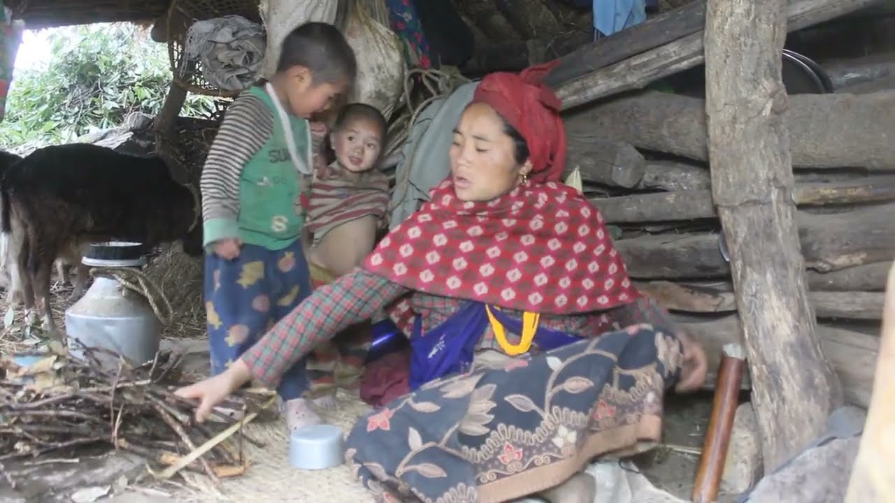 Myvillage official videos EP 280 || Village Life in cottage