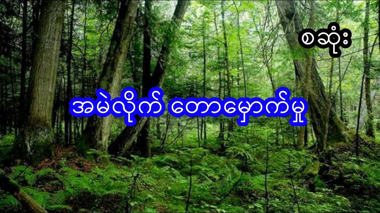 မုဆိုး တောမှောက် သားကောင်ချောက် - စဆုံး