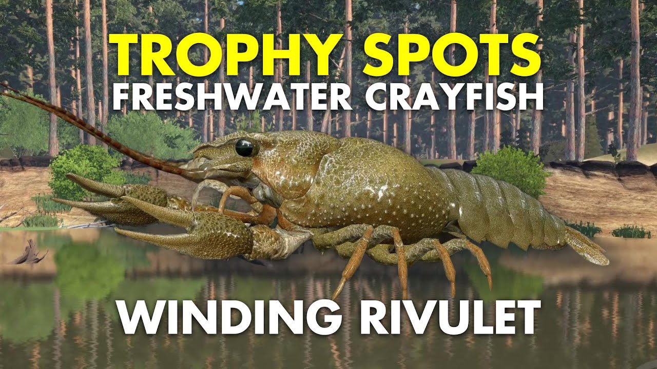 Russian Fishing 4 TROPHY FRESHWATER CRAYFISH SPOT Winding Rivulet