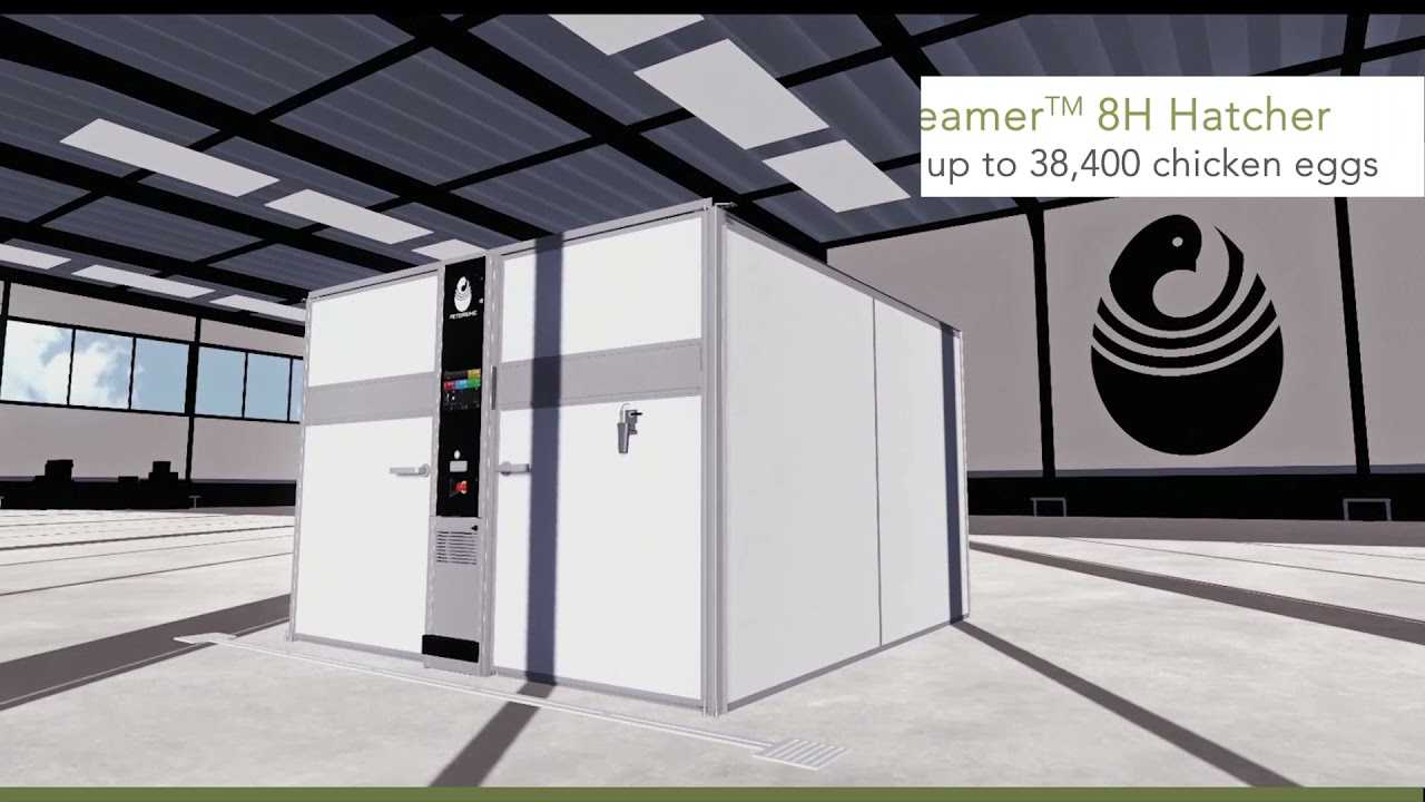 X-Streamer&trade; 3D  - English