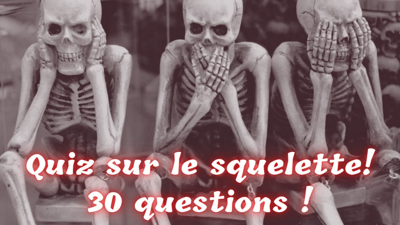 Quiz sur le squelette ! (Version française)