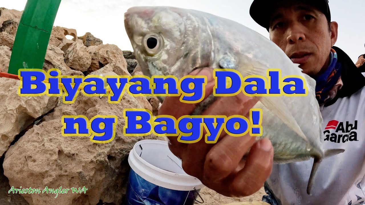 Naglabasan ang mga isda pagkatapos ng malalakas na Bagyo!