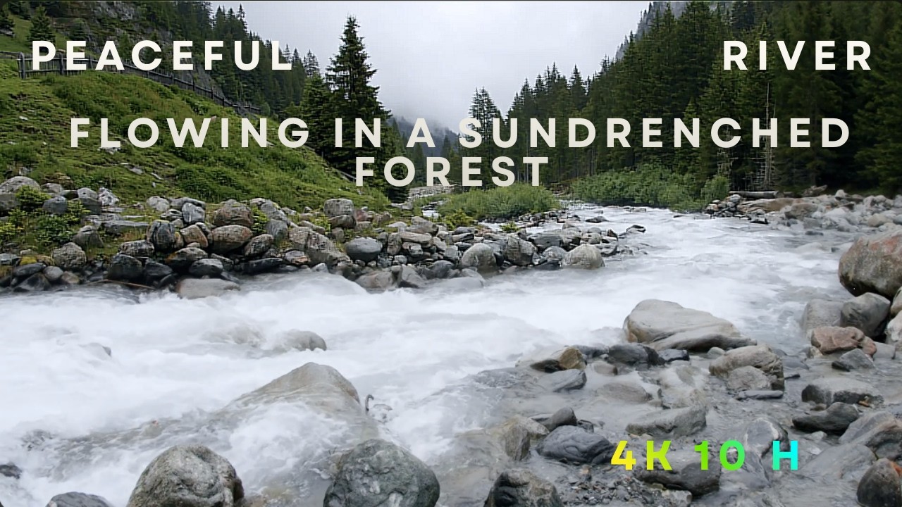 4K Nature Sounds: Peaceful River Flowing in a Sun-Drenched Forest