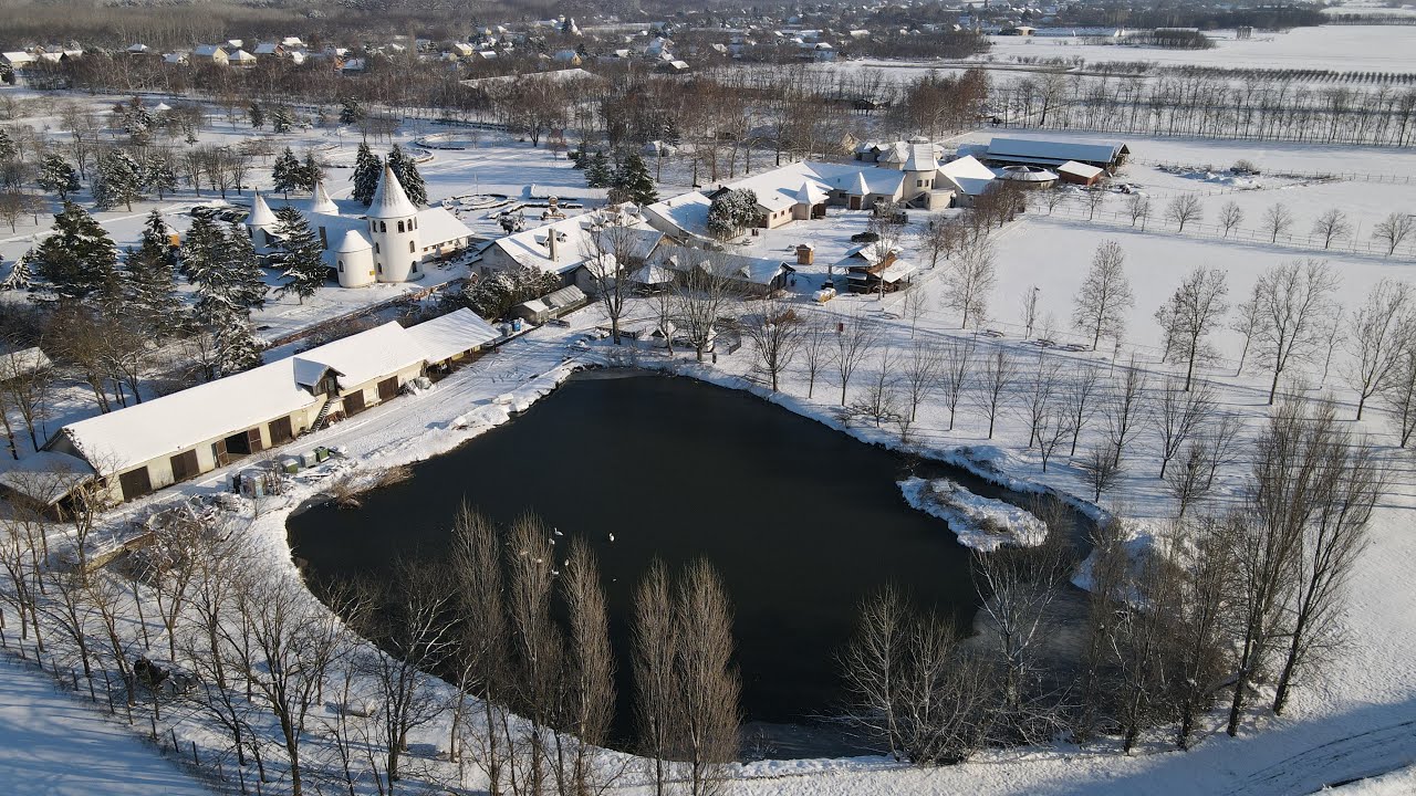 Сербия засыпана снегом
