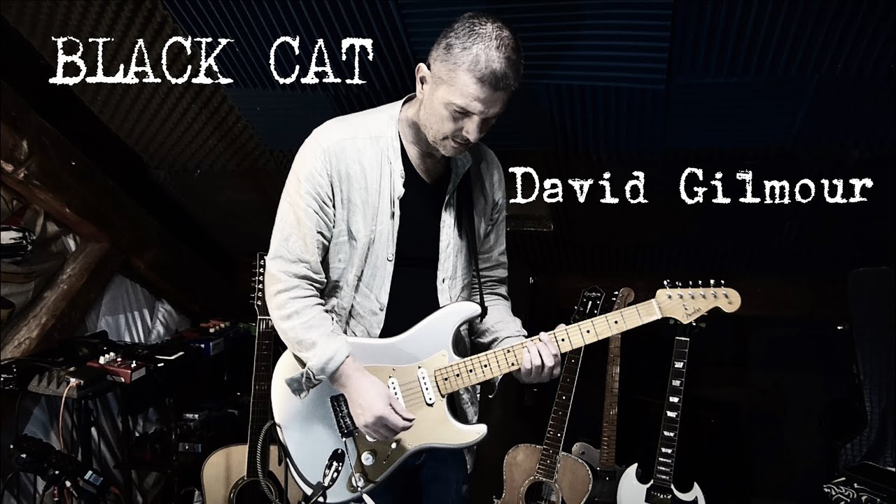 BLACK CAT (Looper Cover) - DAVID GILMOUR 