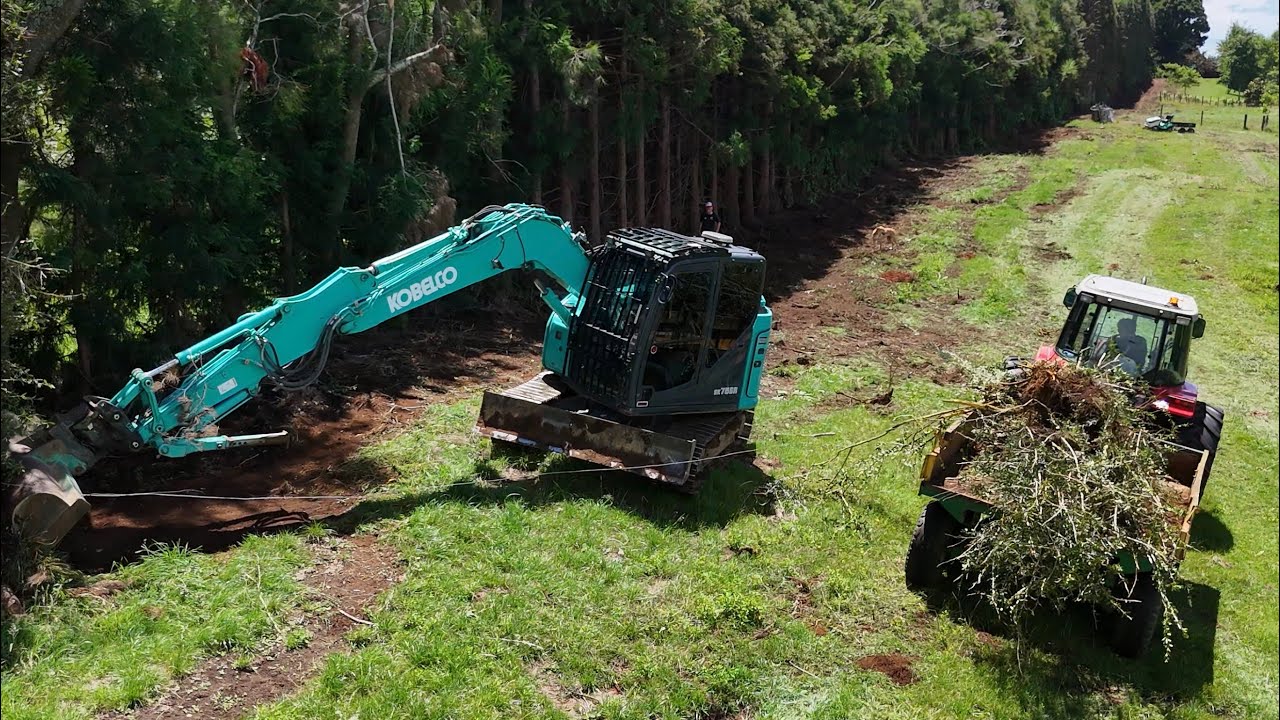 Helping clearing the boundary fence with my lawn mower and trailer