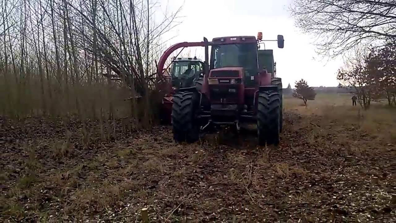 SRC harvesting - poplar, Poland