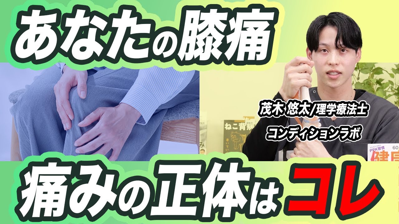 【膝の痛み】軟骨やすり減りが原因ではない？治らない人が見落としている「組織」のみつけ方