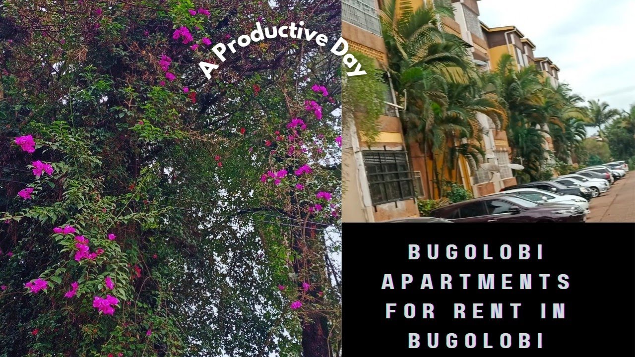 Indian Apartment in Africa |Min India in Africa |Bugolobi Flats For Rents|Bugolobi Flats with Nature