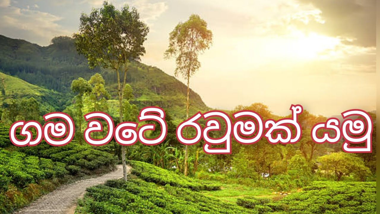 අපේ ගමේ ලස්සන 🌱🌞🌻