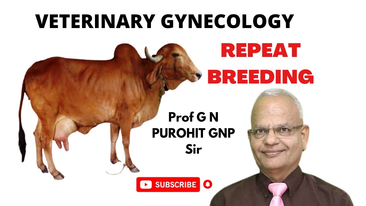 Breeding Troubles? Here's How the Experts Treat Embryo Deaths and Fertility Loss!