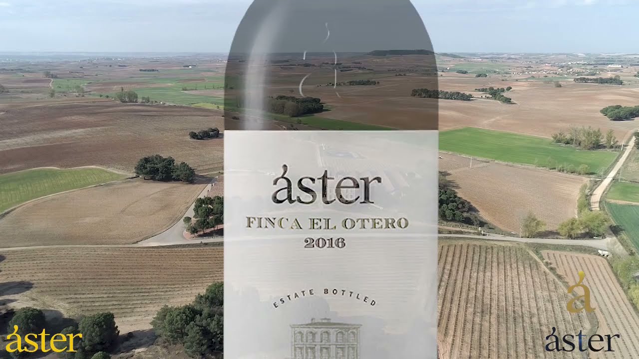 Aster