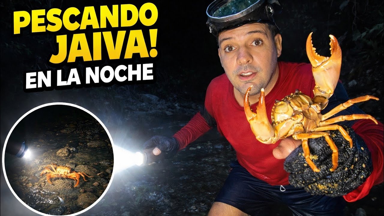 JAIVAS GIGANTES EN ESTE ARROYO