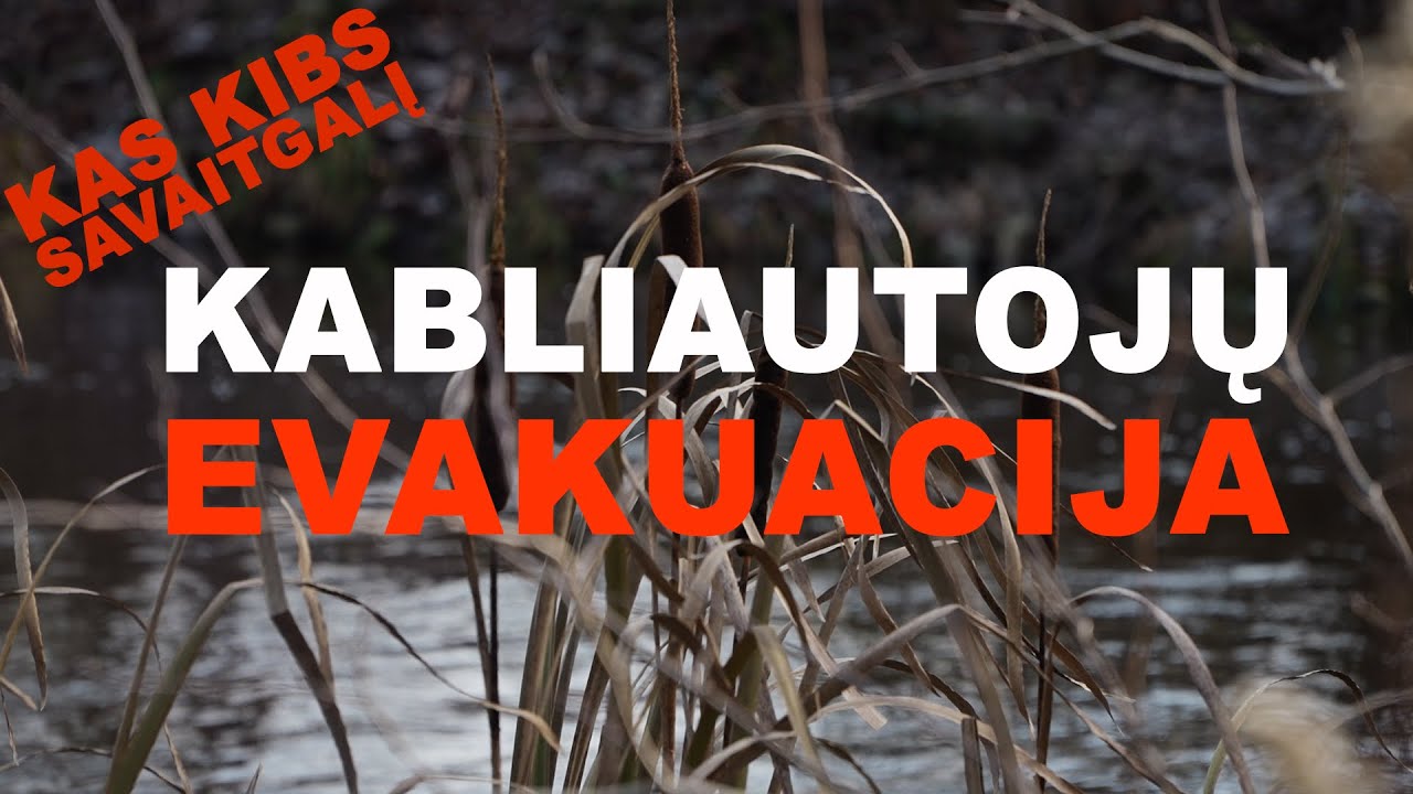 Pirmosios stintos, planuojami live echolotų ribojimai.