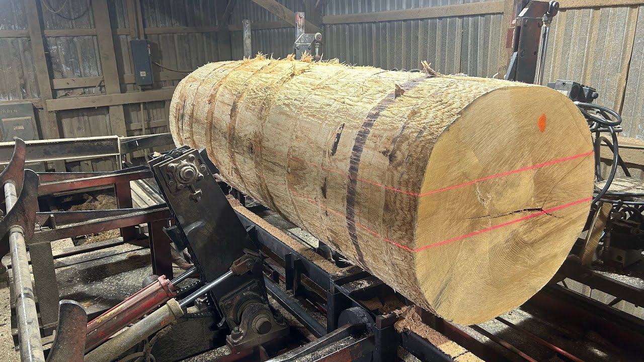 Relax While I Saw a Beautiful Run of Red Oak! Plus a Giant 32 Incher! #200