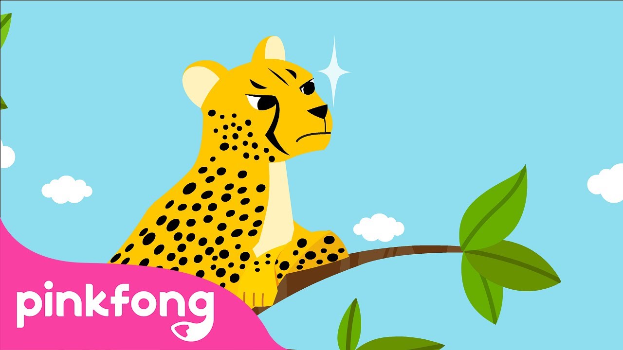 Citah | Lagu Binatang | Kartun & Lagu Anak | Pinkfong dan Baby Shark