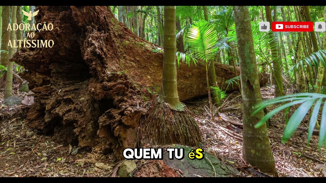 Respira Em Mim/louvor para libertar do medo/ dos desafios/ lançamento 2026