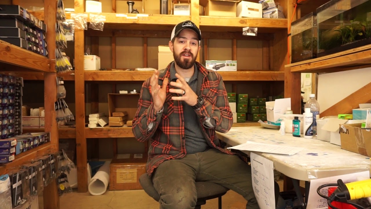Fish Diseases | How to Treat Sick Fish | Fish Medications | Prevention | Old Fish