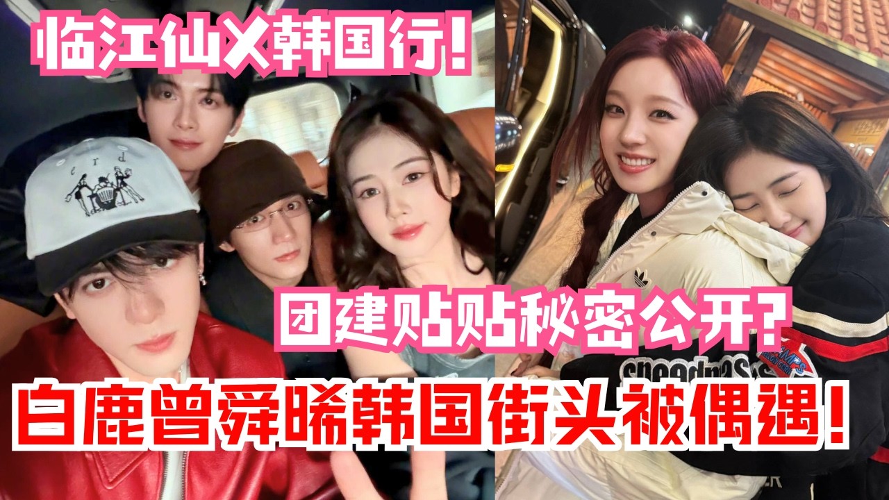 韩国偶遇白鹿曾舜晞“接头”逛街？《临江仙》剧组韩国团建公开！私服白梦妍美到失语😍 | 临江仙#白鹿 #bailu #曾舜晞 #zengshunxi #cdrama
