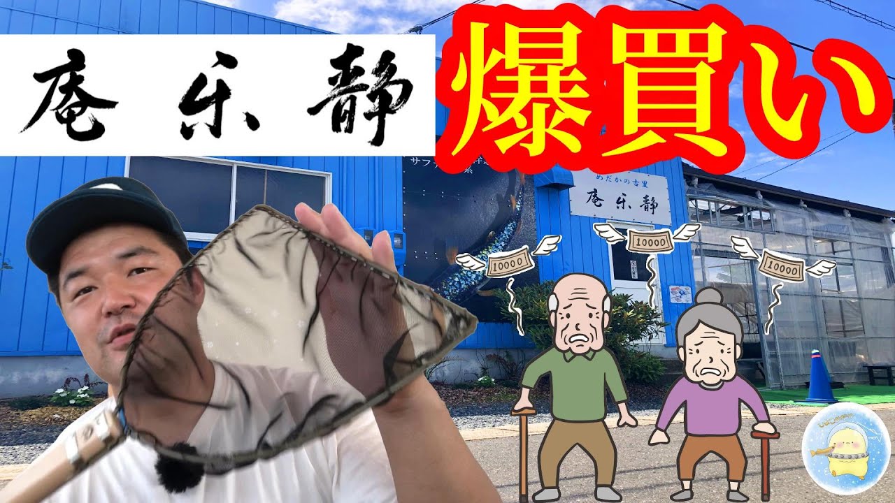 【爆買い】静楽庵で特注品を爆買いしましたwww【ひよこめだか/メダカ飼育】