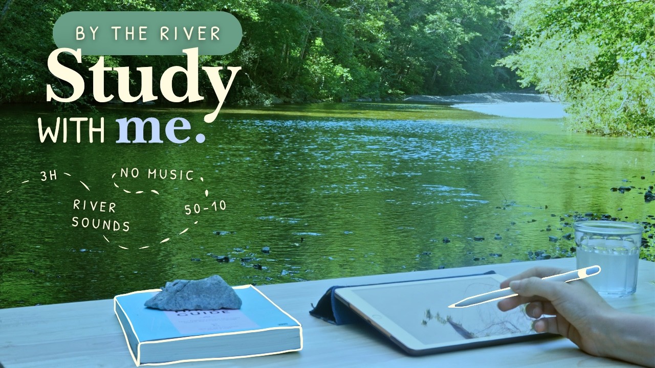 3 HOUR STUDY WITH ME 🌾🦆 / Summer Day At The River / 💦 River and Nature Ambience  / No Music / 50-10