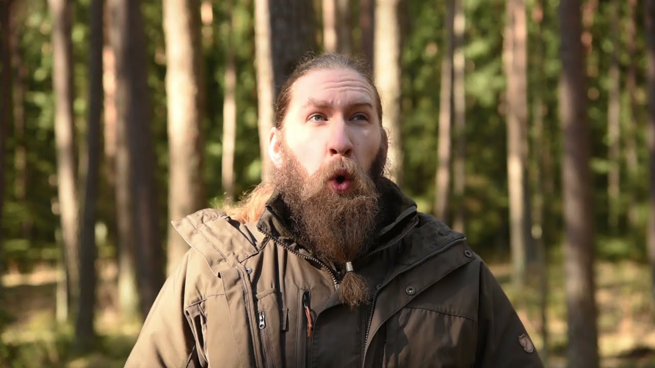 Sadzenie podszyt&oacute;w w celu zwalczania czeremchy amerykańskiej w Nadleśnictwie Spychowo