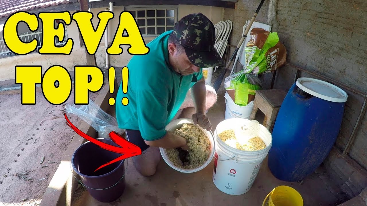 Como Fazer CEVA PRA PEIXE Piauçu, Piapara, Curimba, Tilápia e outros Peixes!!