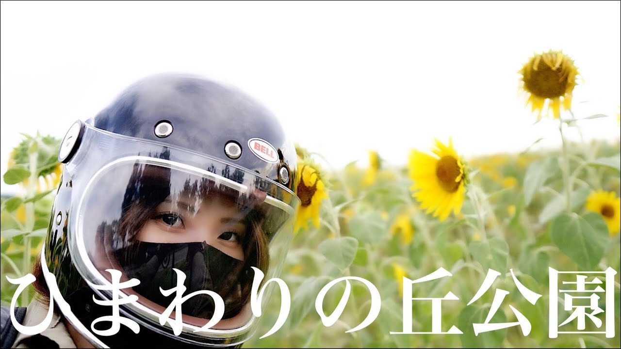 38万本のひまわりをSR400で見に行ってきた｜ソロツー女子のバイクVlog