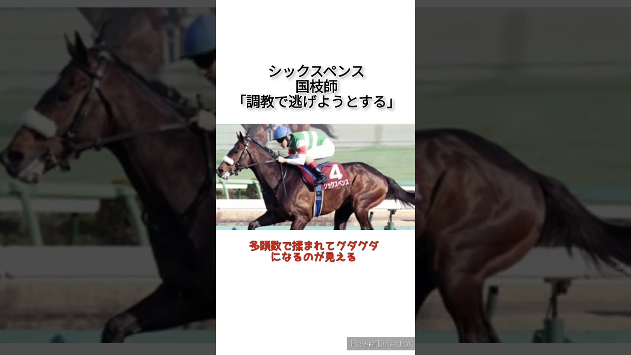 シックスペンス国枝師「調教で併せ馬をすると相手から逃げようとする」　#競馬