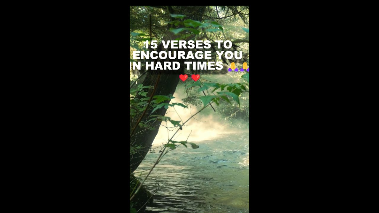 BIBLE VERSES TO ENCOURAGE YOU IN HARD TIMES 🙏🙏❤️❤️ #biblepromises #prayerforemotionalhealing