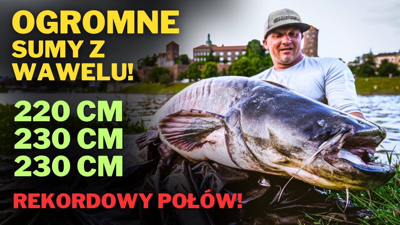 Ogromne sumy z Wawelu
