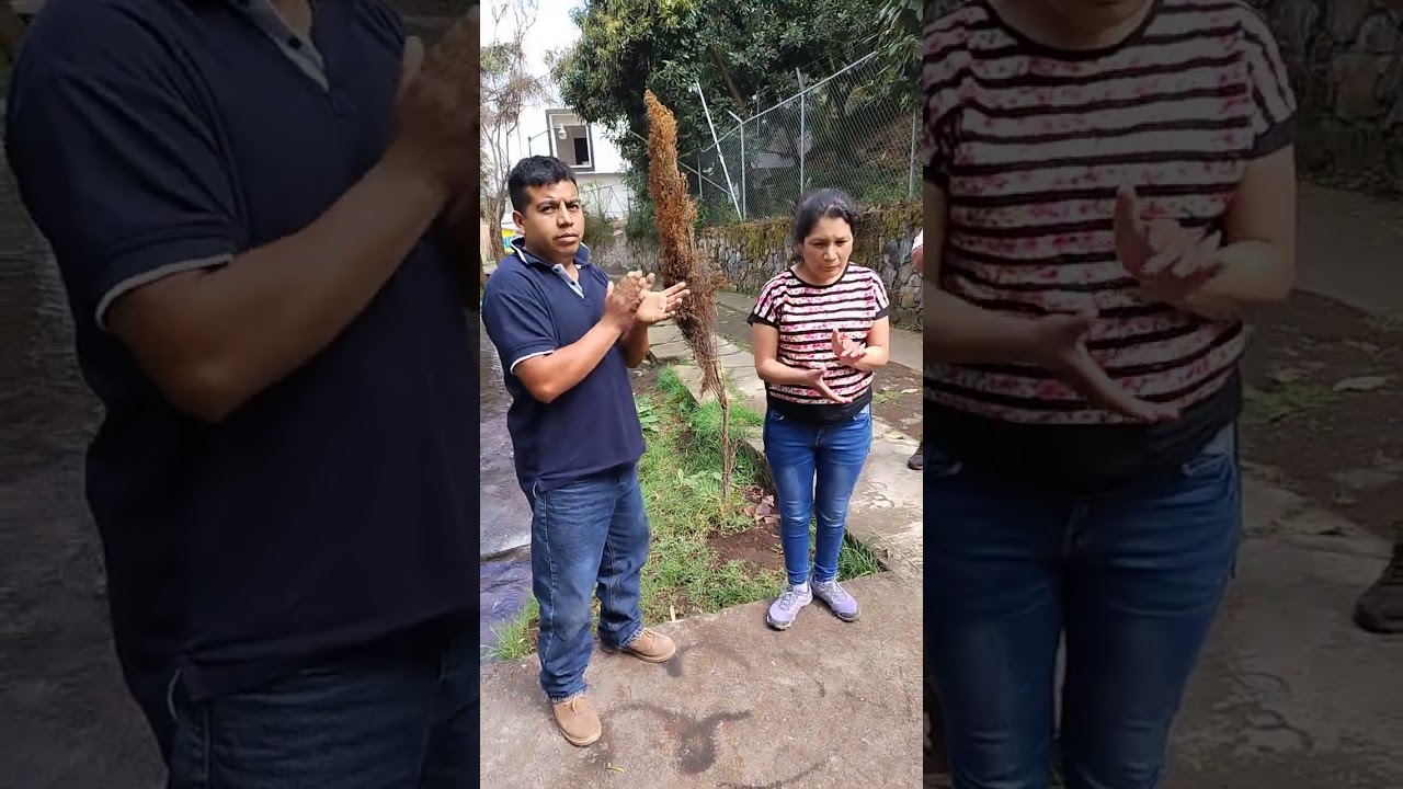 Bautizo del matrimonio del hermano Francisco y la hermana Vaneza 
