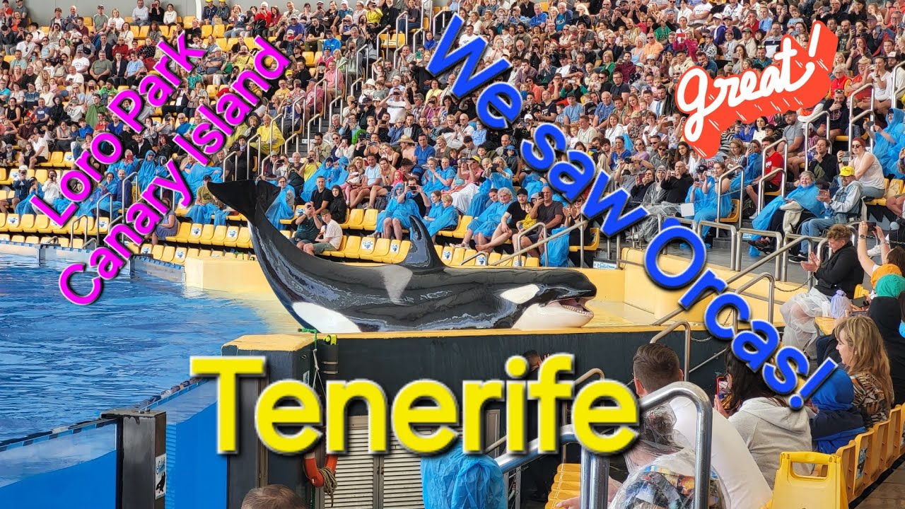 LORO&nbsp;Park Tenerife Loro Parque