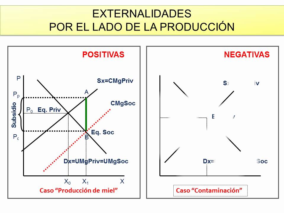 13 - Graficos externalidades produccion