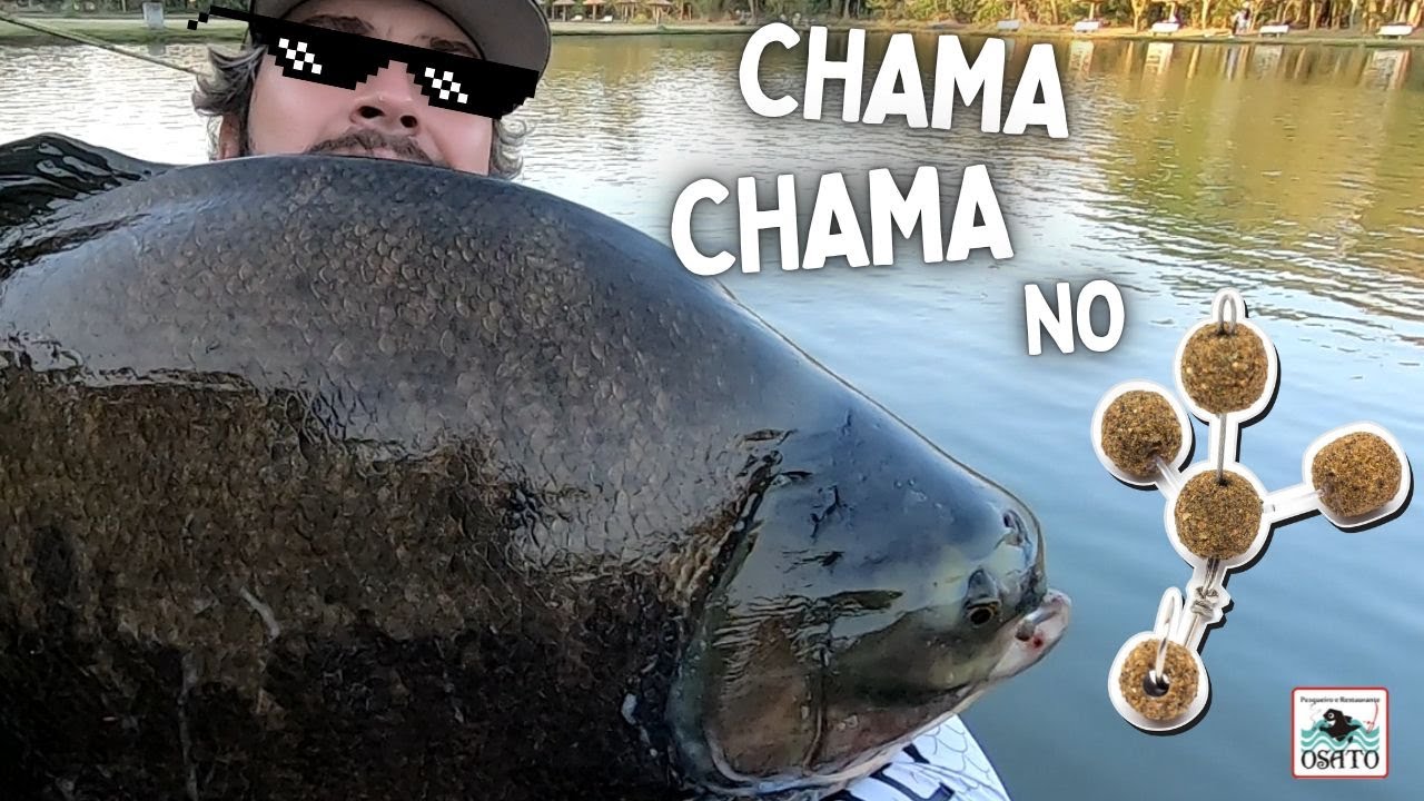 TAMBA N&Aacute;O RESISTE A ESSA ATENINHA - TAMBACU ENORME NO E.V.A / INICIANDO A  TEMPORADA DE PESCA BEM